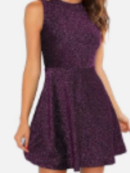 shenhe Dresses & Skirts - Sparkling Sleeveless Purple Fit-and-Flare Mini Dress